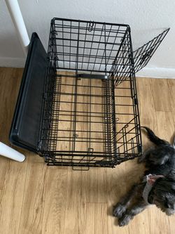 Small dog crate