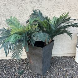 2 Artificial Sago Palms In Resin Pot, Approx 40”