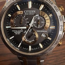 Citizen Echo-Drive Watch