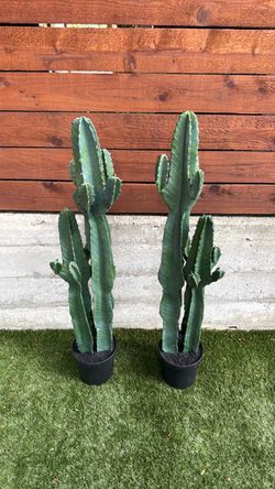 Two fake cactus brand new