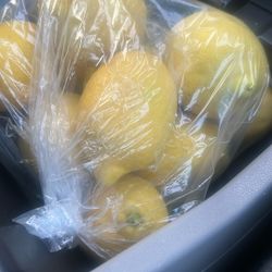 Lemon Bags 