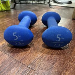 5lb Weights 