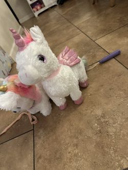 Walking Pet Toys