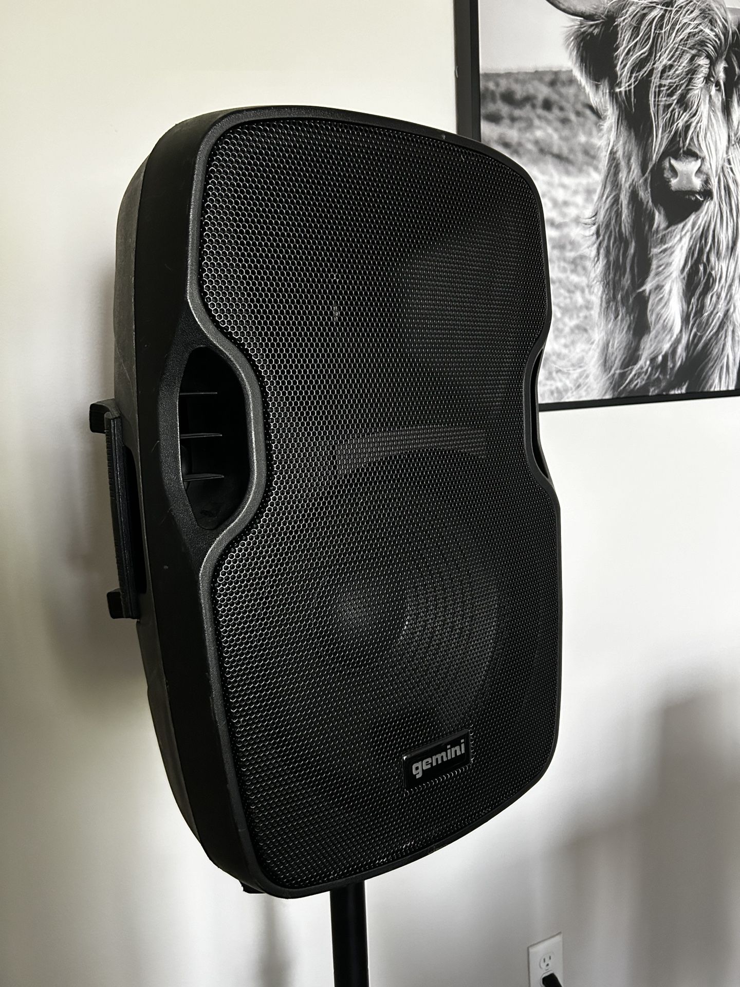 Gemini PA Loudspeaker 