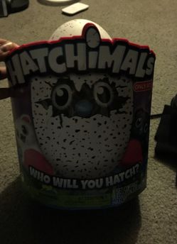 Hatchimals