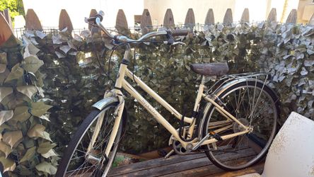 Schwinn Bike