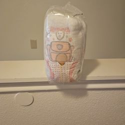 Girl Diaper Brand New  Size 2T/3T $10