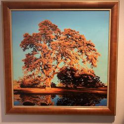 The Great Oak Framed Hand-and Numbered Limited Edition By Artist Frank Lisko Hand signed By the Artist In Beautiful Frame