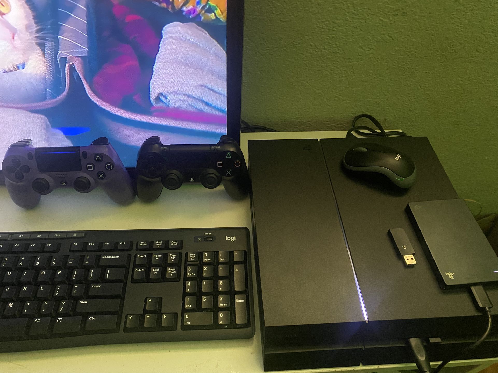 PS4 Bundle/ Setup