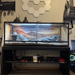 75 Gallon Reptile Terrarium