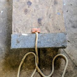 Heavy Duty Furniture/Utility Dolly 