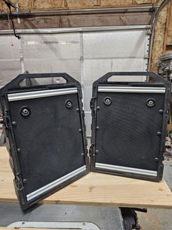 Peavey Mini-Monitor II