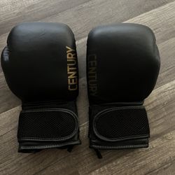 Century Boxing Gloves