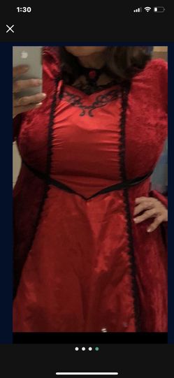 Costume  Size LG/XL With Accsesories 