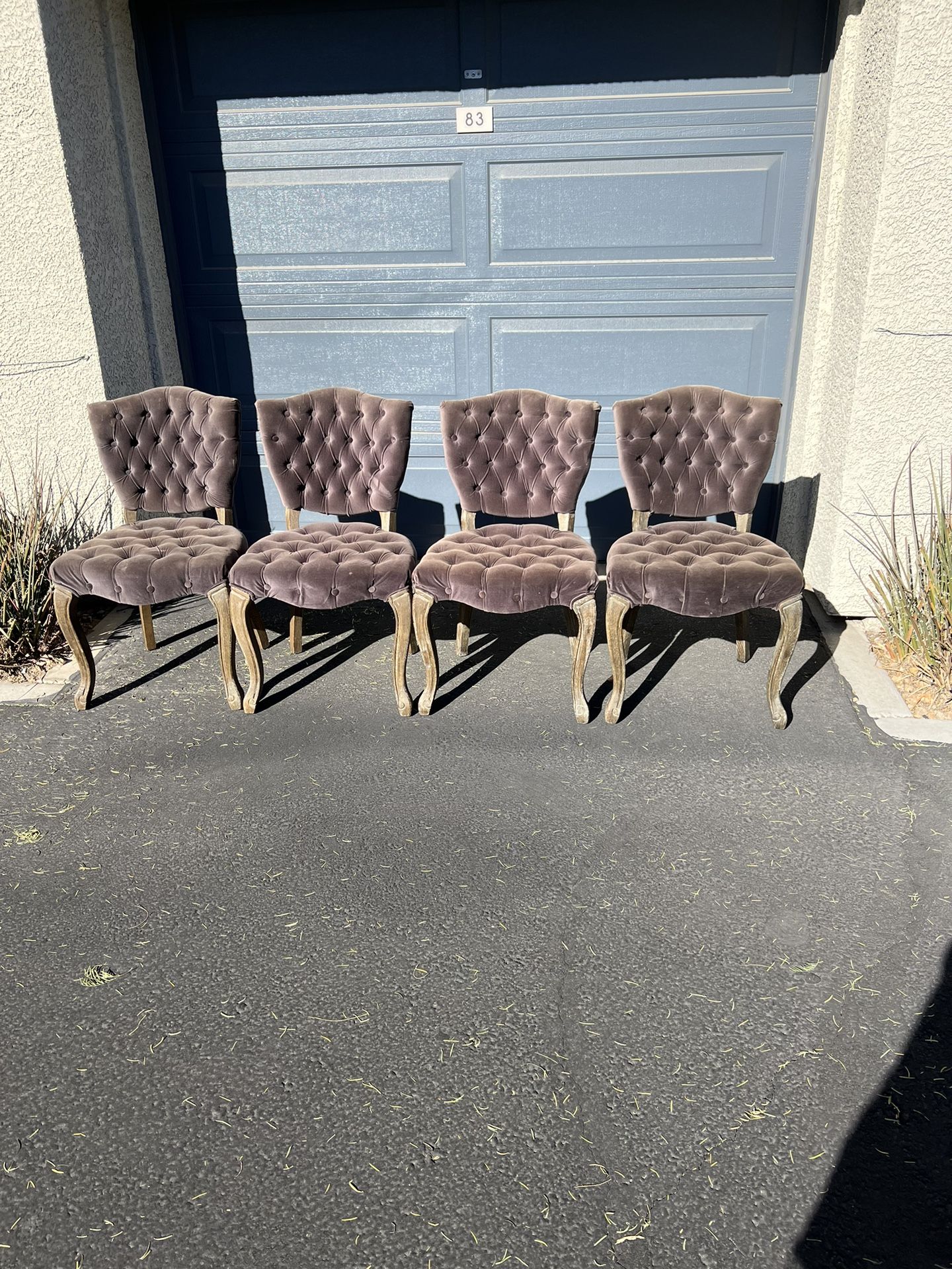 Dining Chairs