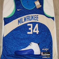 Brand New Nike Giannis Antetokounmpo Jersey 