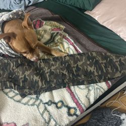 Joggers New Size 5 5$ Obo