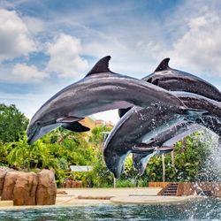 SEA WORLD TICKETS 