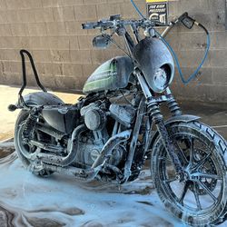 Harley Iron 1200