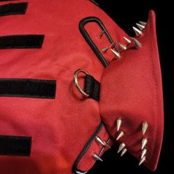 Protective Dog Vest w/Spikes For Protection Against Aggressive Animals 