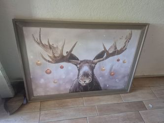 Picture $20