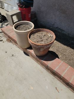 Free planting pots. With dirt
Must take both