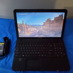 Toshiba Satellite 15.6" Laptop Notebook  C855d AMD E Series 4gb  Ram 320gb HD 