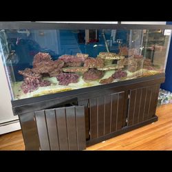 180 Gallons Fish Tank 