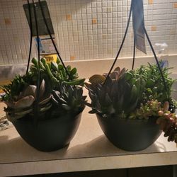 Hanging Smart Plants