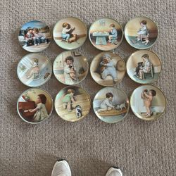 Harmony Plate Collection 