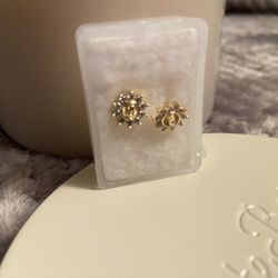 Gold Plated Earrings 