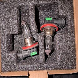 H11 Halogen Bulbs