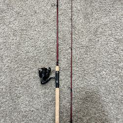 Berkeley Cherrywood Rod with Kingkast Brutus Reel