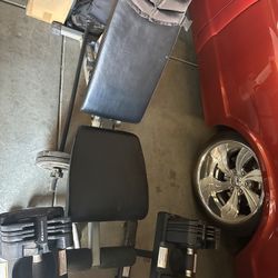 Bowflex Adjustable Dumbbells With Stand And Adjustable Bench 