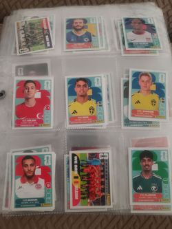 Panini world cup