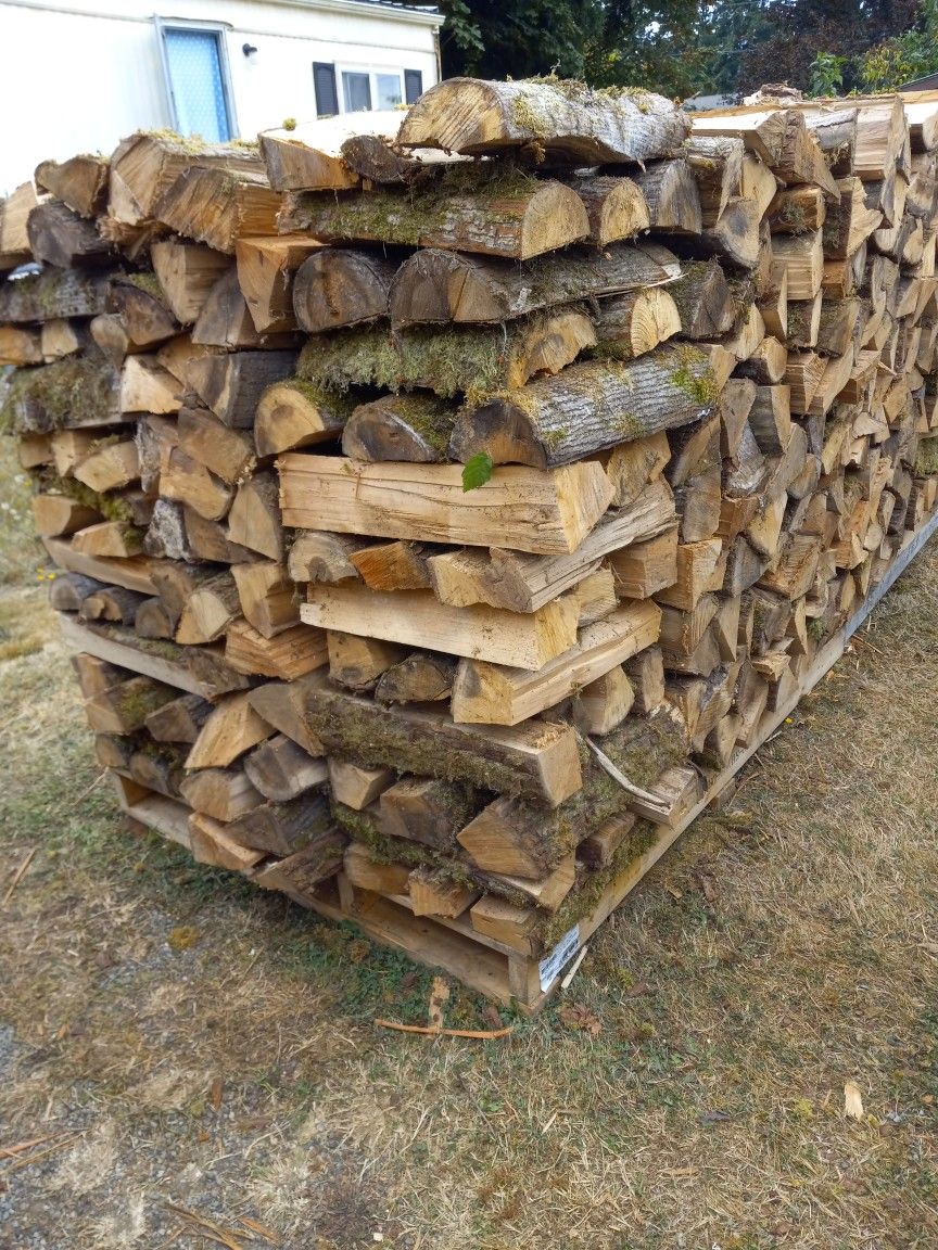 Firewood Maple