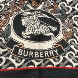 Burberry Scarf 