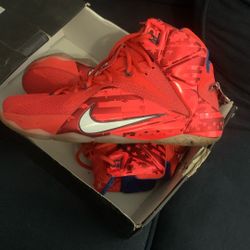 LeBron 12z Size 9
