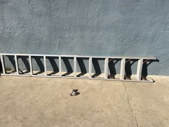 Ladder