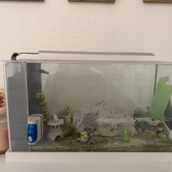 White 5 Gallon Fish Tank With Light And Heater