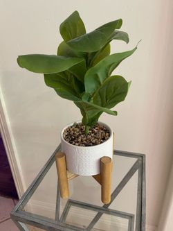 Fake plant.