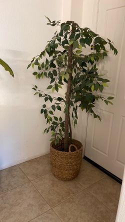 Artificial plant FREE