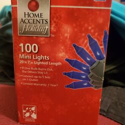 200 Mini Blue Lights