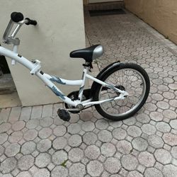 Bike Trailer 