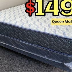 Queen Supreme Ortho Matres!!