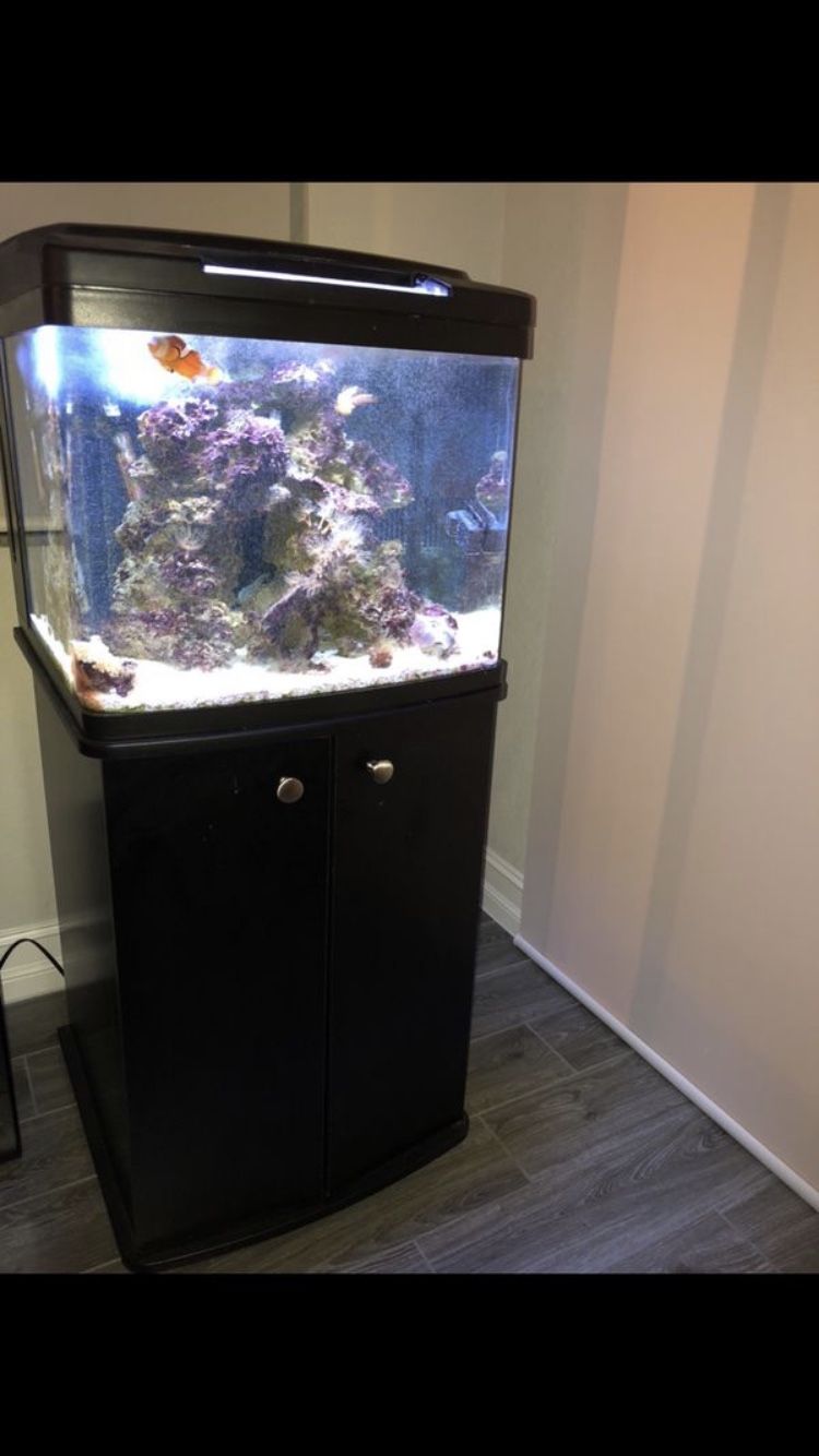 BioCube 30 gallon TANK & STAND only. No fish, nothing inside.