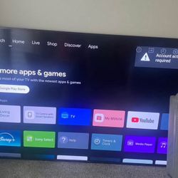 Sony 80” TV