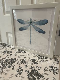 Dragonfly Picture