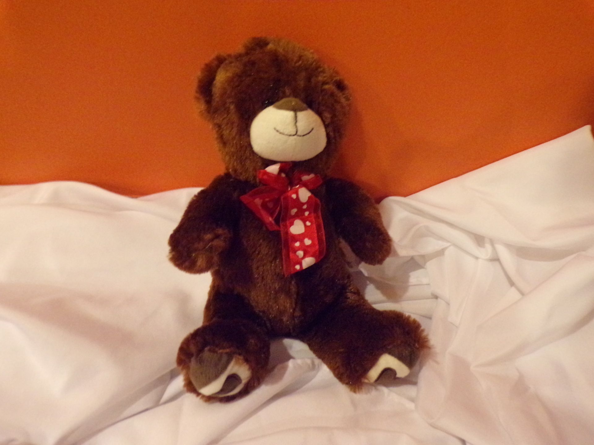 1000518_Teddy Bear