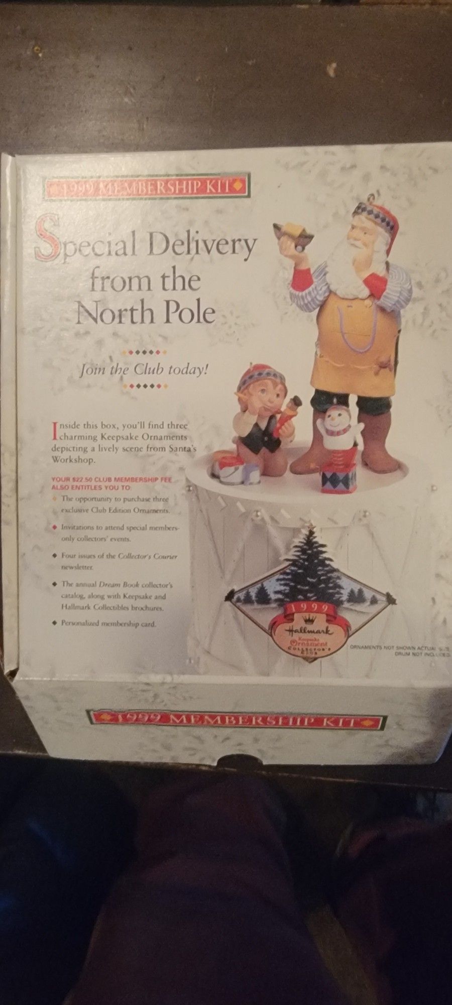Special Delivery from the North Pole